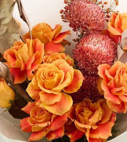How to Keep Flowers Fresh in Dubai’s Heat: A Complete Care Guide